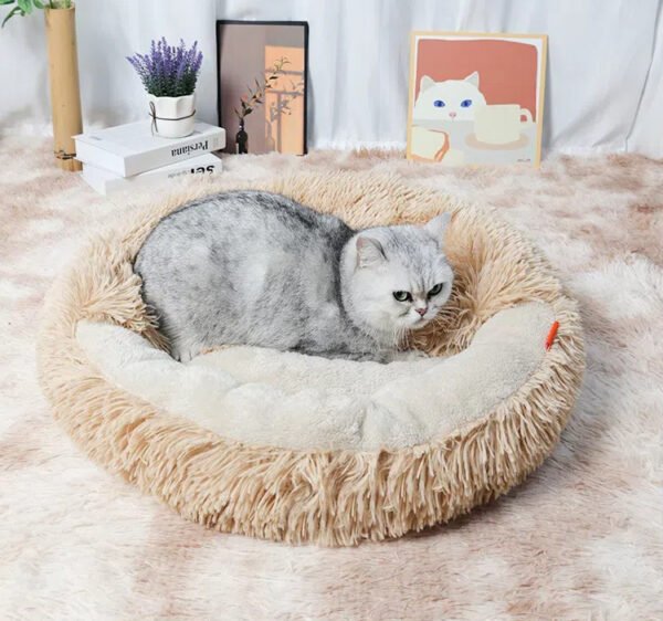 12 Plush Sponge Shell Bed